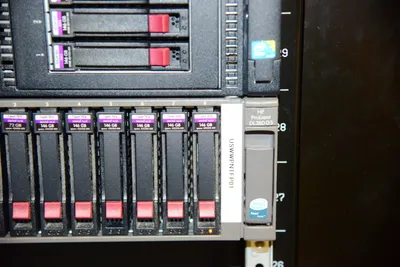 DSC_1356 (Large).JPG